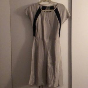 Silver dress